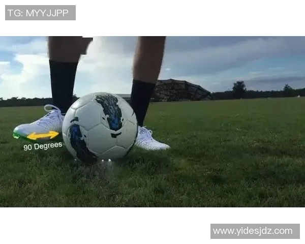 足球明星与动物的奇妙比喻：他们在场上的灵动与野性之美