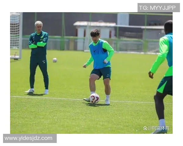 姓范的国安足球明星在赛场上的辉煌成就与个人生活揭秘