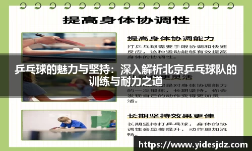 乒乓球的魅力与坚持：深入解析北京乒乓球队的训练与耐力之道